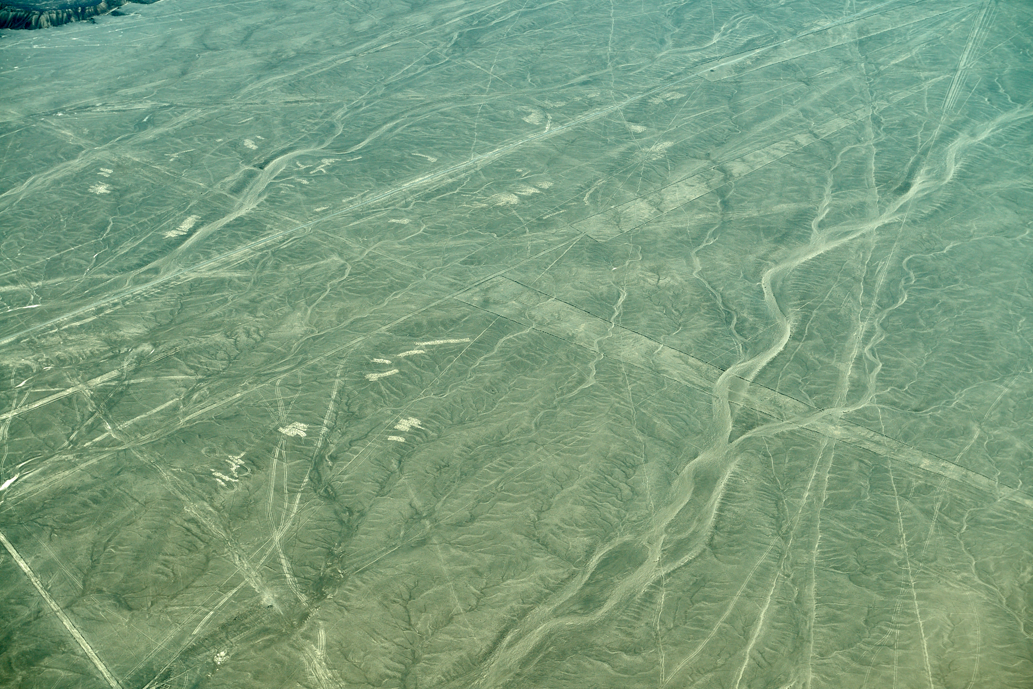 20200305 242 [페루] 나스카 라인